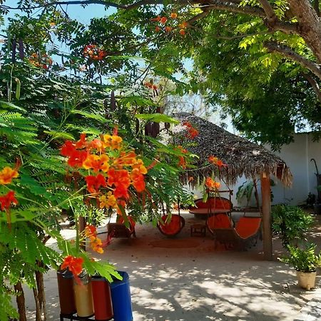 Pousada Do Fred Barra Grande  Exterior photo